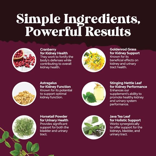 Kidney Support Cranberry Supplement for Women and Men - High Strength Kidney Natures CraftBuy Supplements Australia