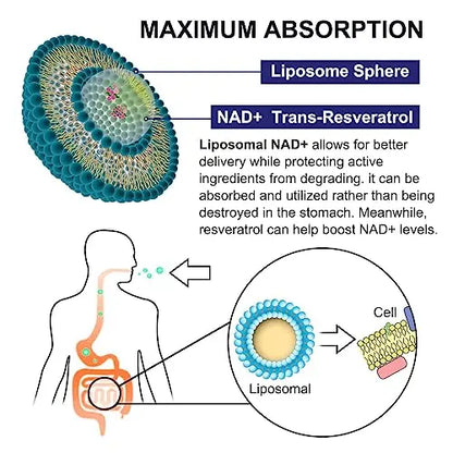 inGreens 900mg Liposomal NAD+ Supplement with 300mg Trans Resveratrol - Superior Absorption, Replaces NMN, Boost NAD+ for DNA Repair, Energy & Longevity, Aging Defense, 60 Softgels inGreensBuy Supplements Australia