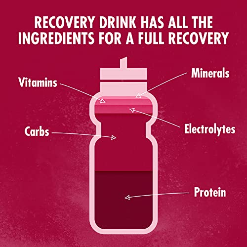 HIGH5 Recovery Drink | Whey Protein Isolate | Promotes Recovery | (Berry, 450g) HIGH5Buy Supplements Australia