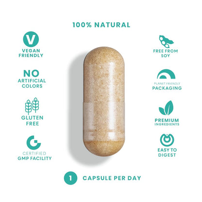 Feelgood Company NAD+ Supplement - Anti-Aging & Cellular Energy Support - Supports Energy, Cognitive Function & Cellular Health - 60 Capsules - NAD+ Precursor FeelGood SuperfoodsBuy Supplements Australia