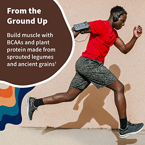 Garden of Life Vegan Protein Powder - 22g Raw Plant Protein, BCAAs, Probiotics Garden of LifeBuy Supplements Australia