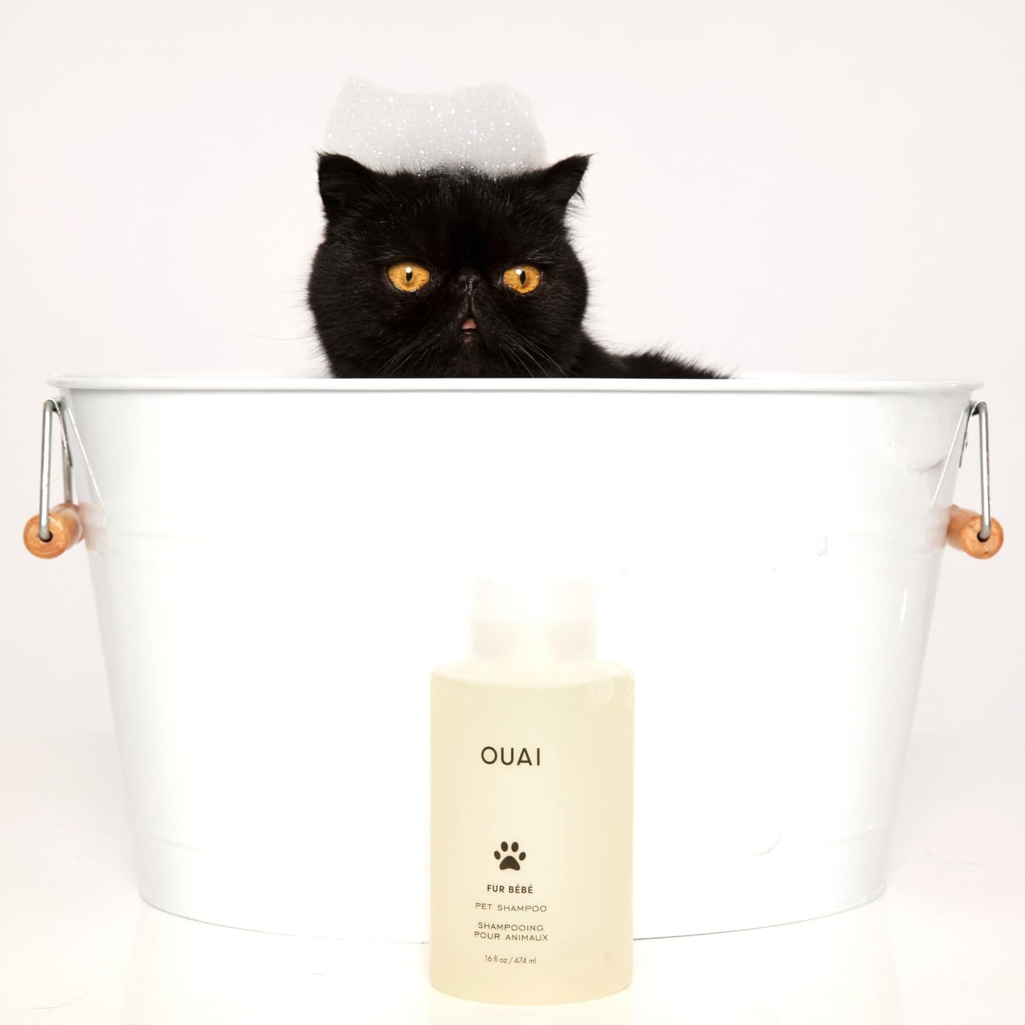 OUAI Fur Bébé Pet Shampoo, Mercer Street Scent - Dog Shampoo and Coat Wash for Hydrating, Cleansing and Adding Shine - Pet Supplies by OUAI (16 Fl Oz) OUAIBuy Supplements Australia