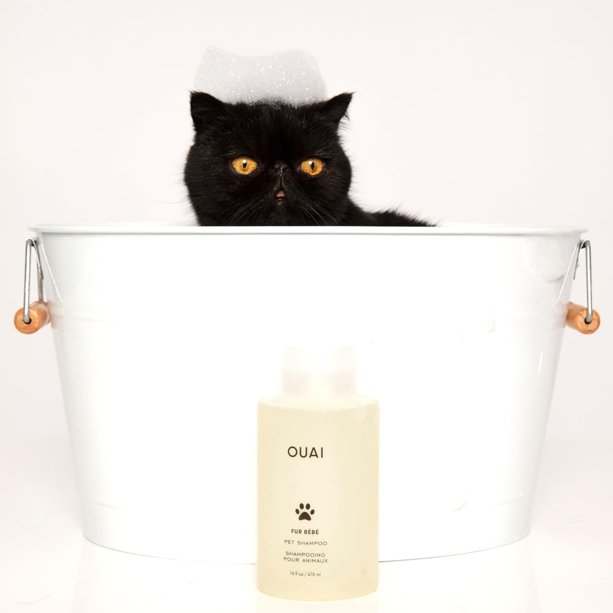 OUAI Fur Bébé Pet Shampoo, Mercer Street Scent - Dog Shampoo and Coat Wash for Hydrating, Cleansing and Adding Shine - Pet Supplies by OUAI (16 Fl Oz) OUAIBuy Supplements Australia