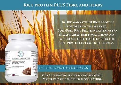 Complementary Supplements | BodyFuel Brown Rice Protein Powder Plus Chicory, Green Tea Complementary SupplementsBuy Supplements Australia