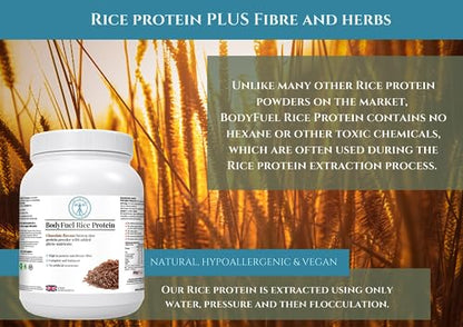 Complementary Supplements | BodyFuel Brown Rice Protein Powder Plus Chicory, Green Tea Complementary SupplementsBuy Supplements Australia