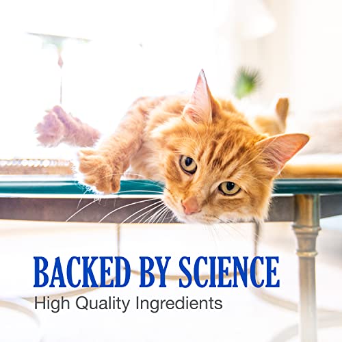 Nutramax Cobalequin B12 Supplement for Cats and Small Dogs, 45 Count (Pack of 1) Nutramax LaboratoriesBuy Supplements Australia