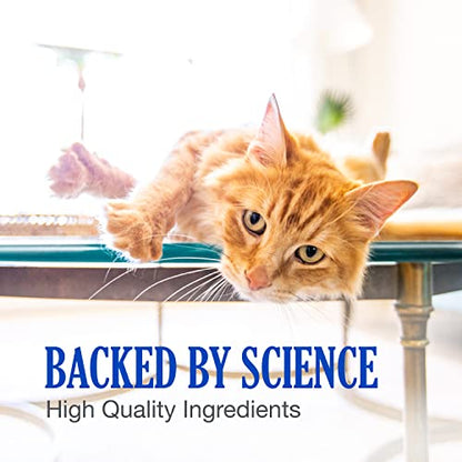 Nutramax Cobalequin B12 Supplement for Cats and Small Dogs, 45 Count (Pack of 1) Nutramax LaboratoriesBuy Supplements Australia