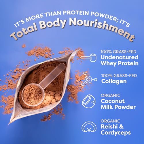 FlavCity Protein Powder Smoothie, Chocolate - 100% Grass-Fed Whey Protein Smoothie FlavCityBuy Supplements Australia