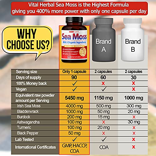 VITAL HERBAL Irish Sea Moss Capsules Equivalent to 5450mg - Maximum Potency VITAL HERBALBuy Supplements Australia