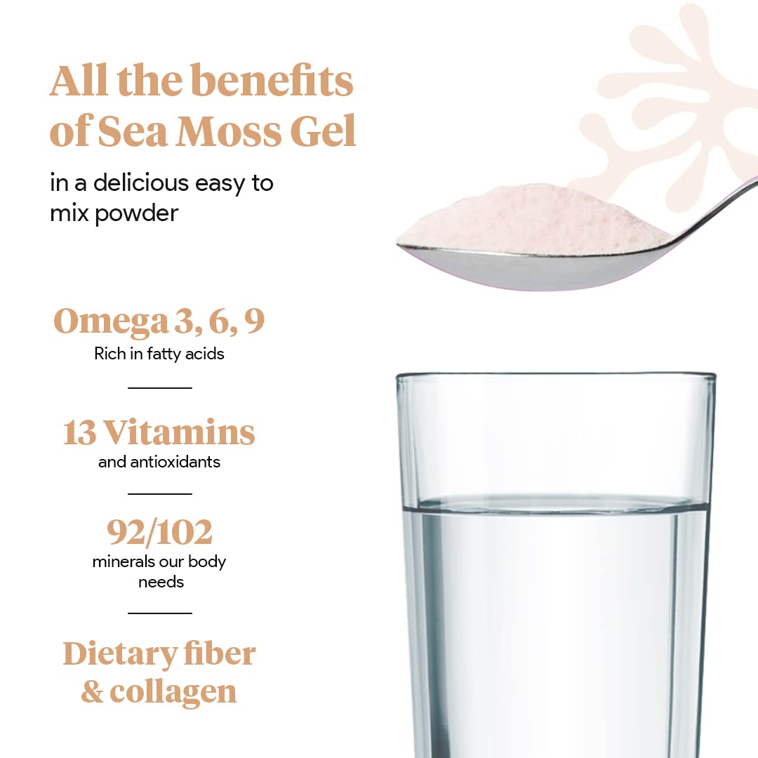 Organic Sea Moss Superfood Powder with Ashwagandha, Beet Root, and Maca Atlantic NaturalsBuy Supplements Australia