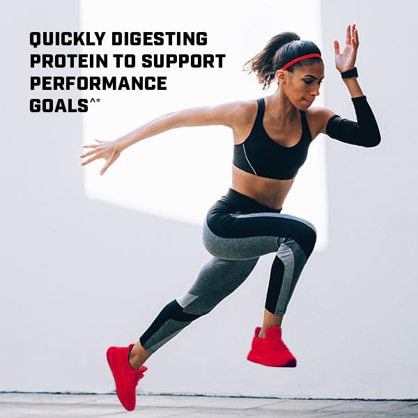 GNC Pro Performance 100% Whey Protein Powder - Chocolate Supreme, 25 Servings GNCBuy Supplements Australia