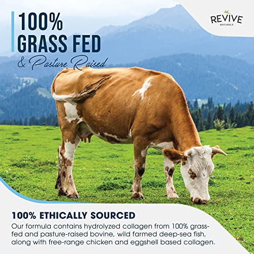 Multi Collagen Protein Capsules - Types I, II, III, V & X - Hydrolysed Grass Fed Bovine, Wild Caught Marine Revive NaturalsBuy Supplements Australia