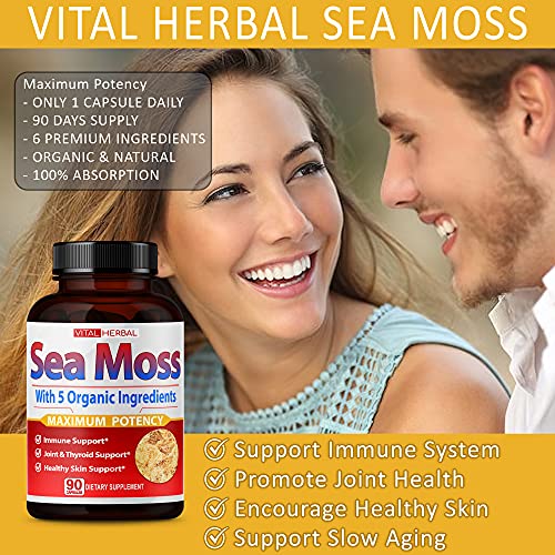 VITAL HERBAL Irish Sea Moss Capsules Equivalent to 5450mg - Maximum Potency VITAL HERBALBuy Supplements Australia