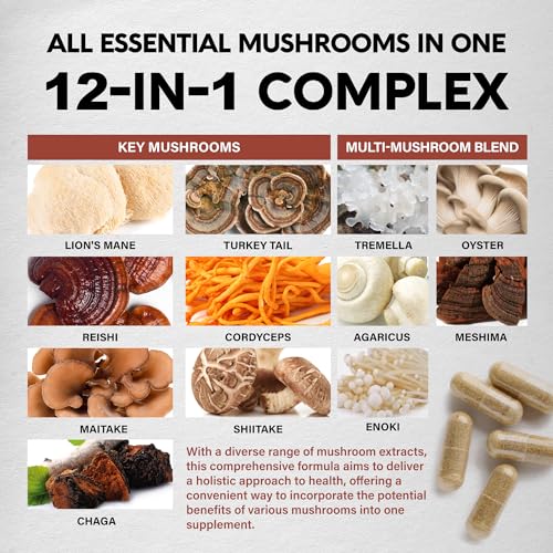 Mushroom Supplement - Organic Lion's Mane | Turkey Tail | Chaga | Cordyceps | Reishi NUTRAHARMONYBuy Supplements Australia