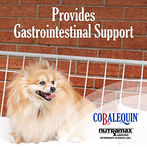 Nutramax Cobalequin B12 Supplement for Cats and Small Dogs, 45 Count (Pack of 1) Nutramax LaboratoriesBuy Supplements Australia