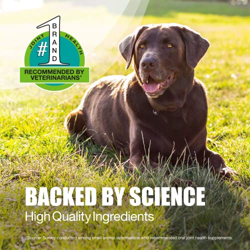 Nutramax Laboratories Dasuquin with MSM Joint Health Supplement for Large Dogs Nutramax LaboratoriesBuy Supplements Australia