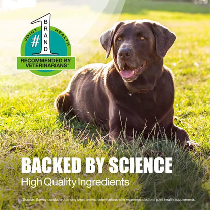 Nutramax Laboratories Dasuquin with MSM Joint Health Supplement for Large Dogs Nutramax LaboratoriesBuy Supplements Australia