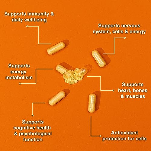 Puro Multivitamin - 34 Multivitamins & Minerals - Daily Complex for Men & Women PurolabsBuy Supplements Australia