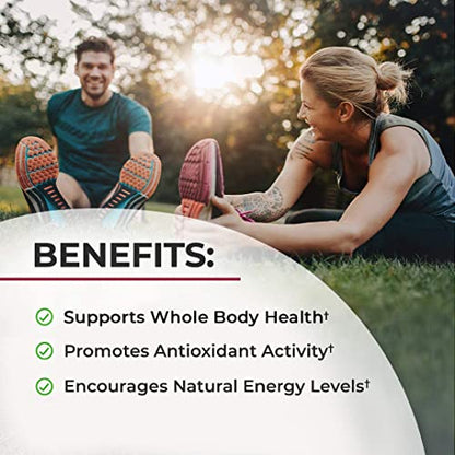 Sugar Free Beet Root Gummies - Nitric Oxide Beet Chews Infused with Coconut Oil BioSchwartzBuy Supplements Australia