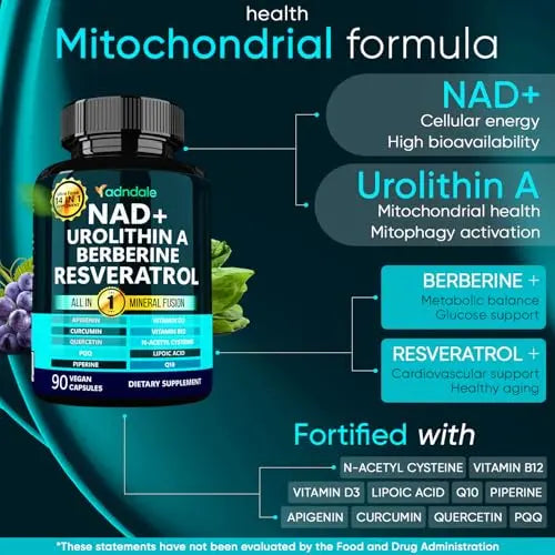 Adndale NAD Supplement. Longevity Formula with Liposomal NAD+, Trans Resveratrol, Urolithin-A, Berberine, CoQ10. NMN Supplement Alternative. 90 Count AdndaleBuy Supplements Australia