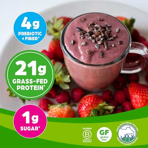 Orgain Whey Protein Powder, Creamy Chocolate Fudge - 21g Grass Fed Dairy Protein OrgainBuy Supplements Australia