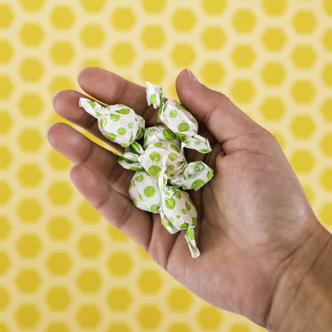 tummy drops No Sugar Crushed Peppermint Flavor, Gluten Free & Vegan, 33 Individually Wrapped Pure Peppermint Oil Lozenges Made with Organic Monkfruit tummy drops buy supplements Au