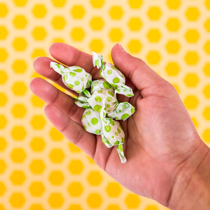tummy drops No Sugar Crushed Peppermint Flavor, Gluten Free & Vegan, 33 Individually Wrapped Pure Peppermint Oil Lozenges Made with Organic Monkfruit tummy drops buy supplements Au