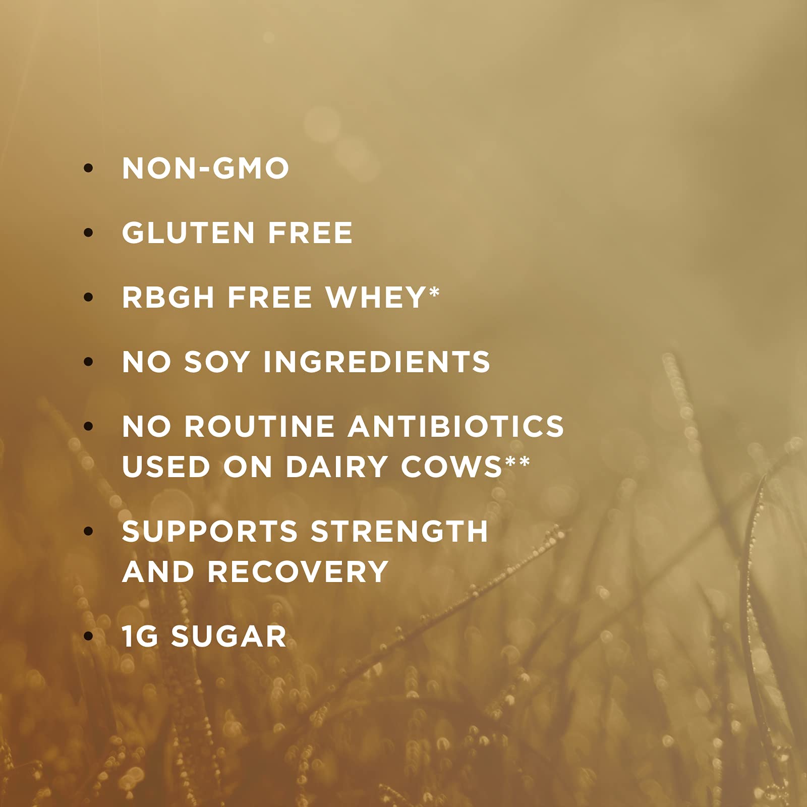 Solgar Whey To Go Natural Vanilla Flavour Protein Powder 340 g - Grass-Fed Whey from New Zealand Cows SOLGARBuy Supplements Australia