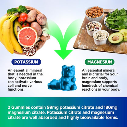 HOLLEGEND Potassium Magnesium Gummies, High Absorption Potassium Citrate 99mg Magnesium Citrate 180mg, Chewable Gummy Supplements for Leg Cramps & Muscle, 60 Count HOLLEGENDBuy Supplements Australia