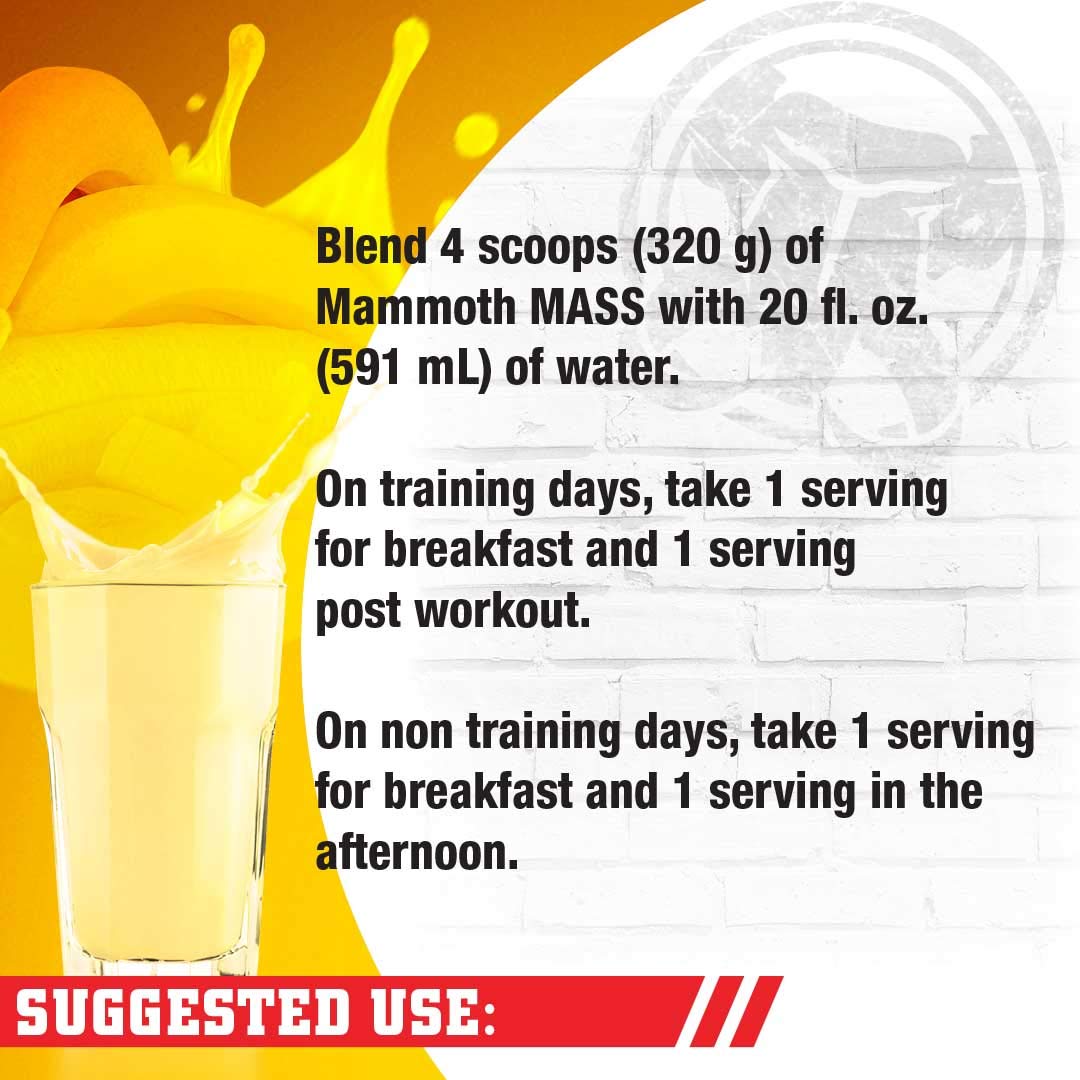 Interactive Nutrition Mammoth Mass Supplement, 5 lbs, Banana, 2.2kg Banana MammothBuy Supplements Australia
