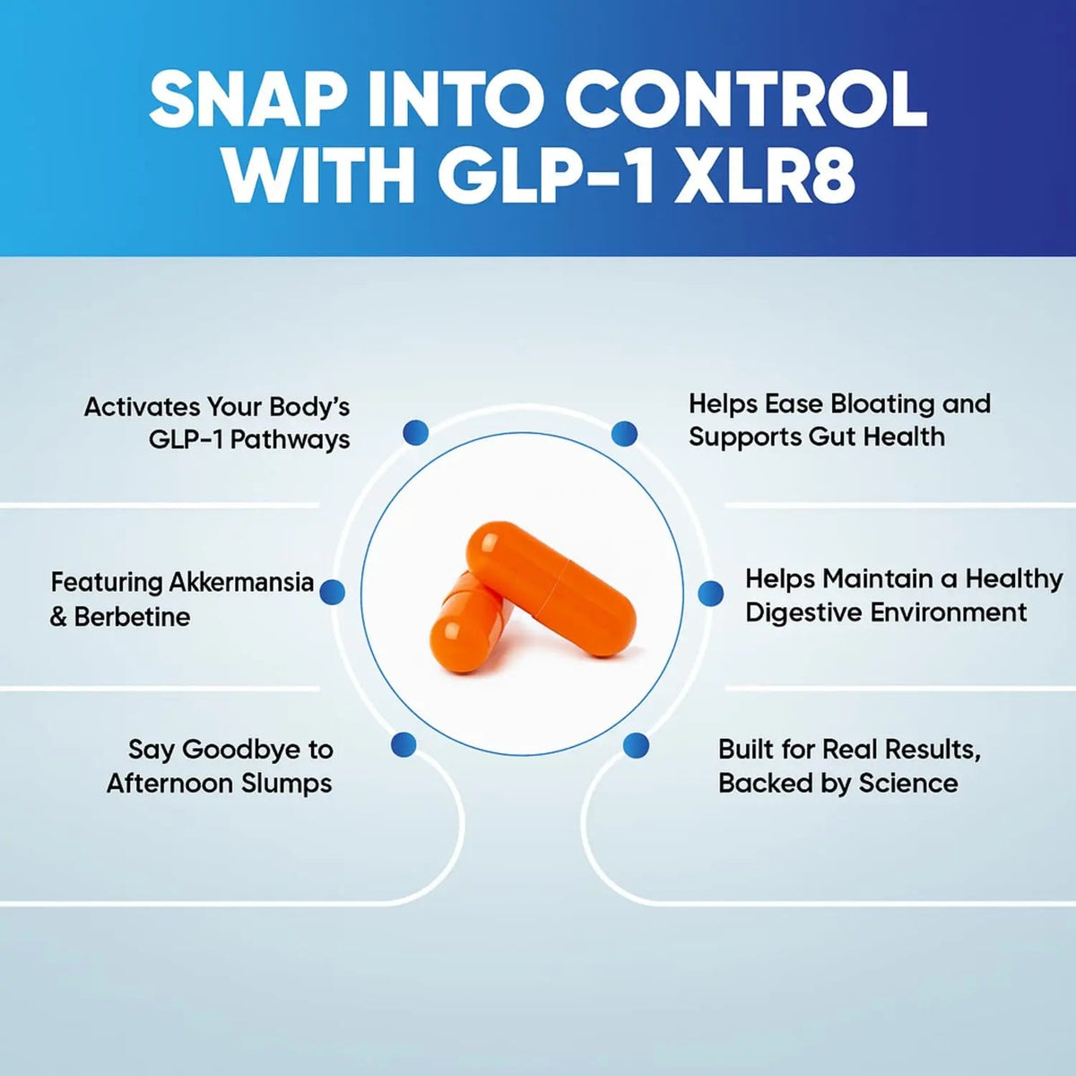 GLP-1 XLR8 Supplement for Weight Loss, Digestion, Constipation, Bloating Relief with Akkermansia 2.6 Billion AFU Live Prebiotic Probiotic Postbiotic Gut Health + Berberine for Women Men 60 Capsules Snappy ScriptsBuy Supplements Australia