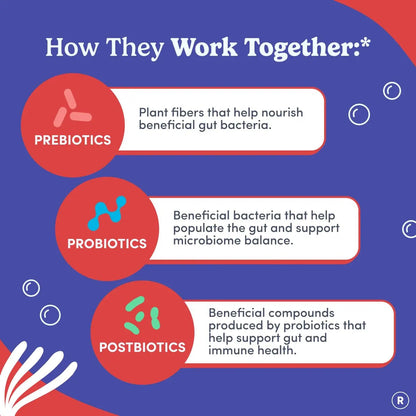 FIRST DAY 3 in 1 Probiotics for Men - Prebiotic, Probiotic & Postbiotic Supplement – Mens Probiotic for Digestive Health, Oral Health, Immune Function, Energy, Gut Health for Men – 30-Day Supply FIRST DAYBuy Supplements Australia