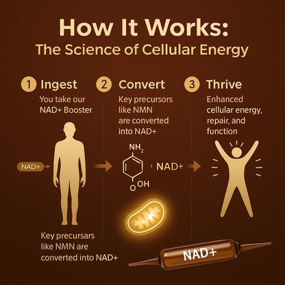 NAD Advanced Cellular Renewal - 1200mg NAD Supplement for Skin Aging Support Energy & Focus - 10 Vials (1) ARSYCHLLBuy Supplements Australia