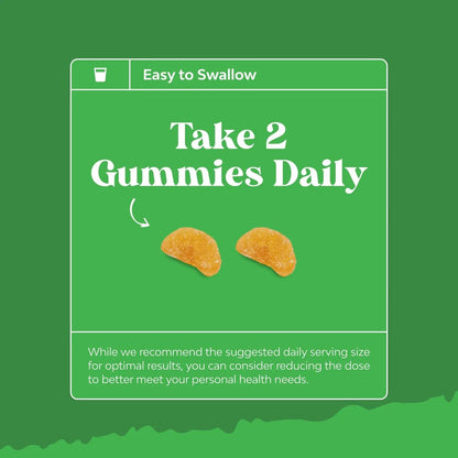 Bundle of Multivitamin Gummies for Adults - Vitamin Gummy for Energy and Immunity - Halal and Chewable Vitamin C Gummies for Adults Natures CraftBuy Supplements Australia
