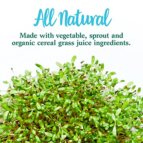 Garden of Life Perfect Food Super Green Formula - 14 Servings | 45 Superfoods, Greens Garden of LifeBuy Supplements Australia