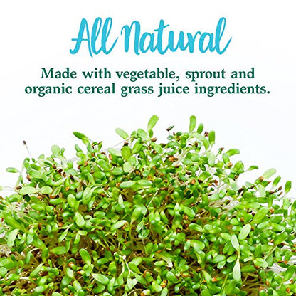 Garden of Life Perfect Food Super Green Formula - 14 Servings | 45 Superfoods, Greens Garden of LifeBuy Supplements Australia