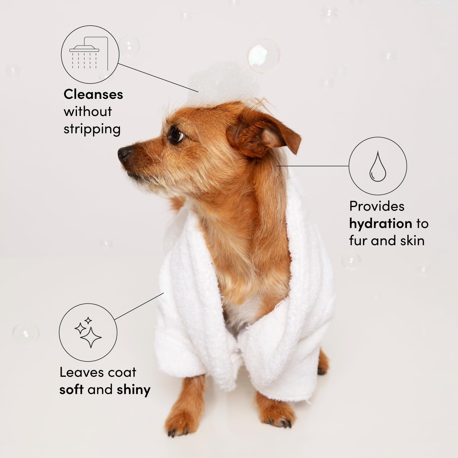 OUAI Fur Bébé Pet Shampoo, Mercer Street Scent - Dog Shampoo and Coat Wash for Hydrating, Cleansing and Adding Shine - Pet Supplies by OUAI (16 Fl Oz) OUAIBuy Supplements Australia