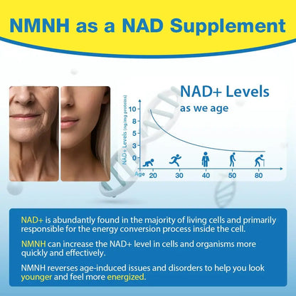 NMNH (NMN Supplement Alternative) NAD Supplements for Anti Aging, Energy, Immune, Focus (Dihydronicotinamide Mononucleotide) 500mg, to Boost NAD+ Levels As We Age, Pure Organic - 60 Capsules BeyyolyBuy Supplements Australia