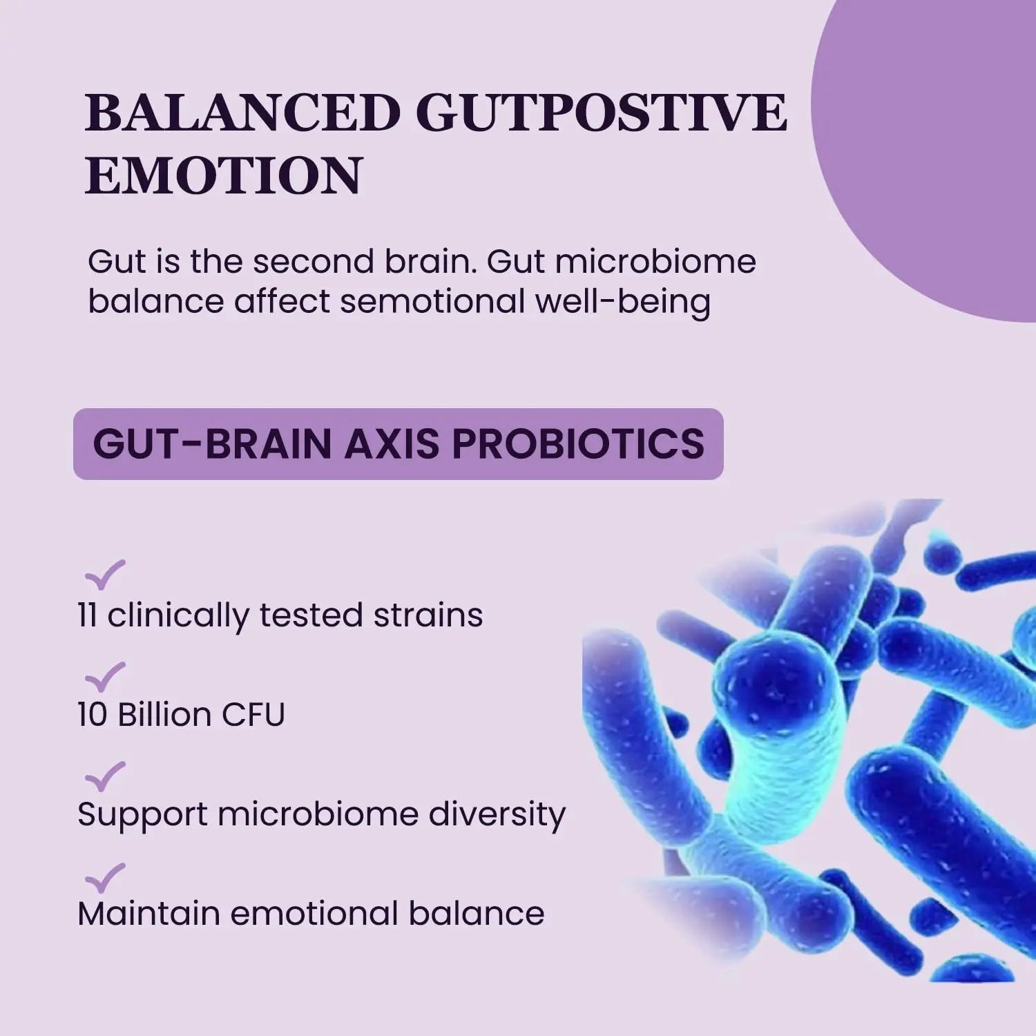 UpNourish Organic Ashwagandha Saffron Supplements with Probiotics - Stress Relief, Mood Enhancer, Calm Happy Pills Support Fatigue Focus Clarity with L-Theanine, Rhodiola, 30 Vegan Capsules UpNourish buy supplements Au