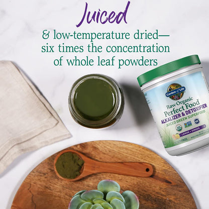 Garden of Life Raw Organic Perfect Food Alkalizer & Detoxifier Juiced Greens Superfood Garden of LifeBuy Supplements Australia
