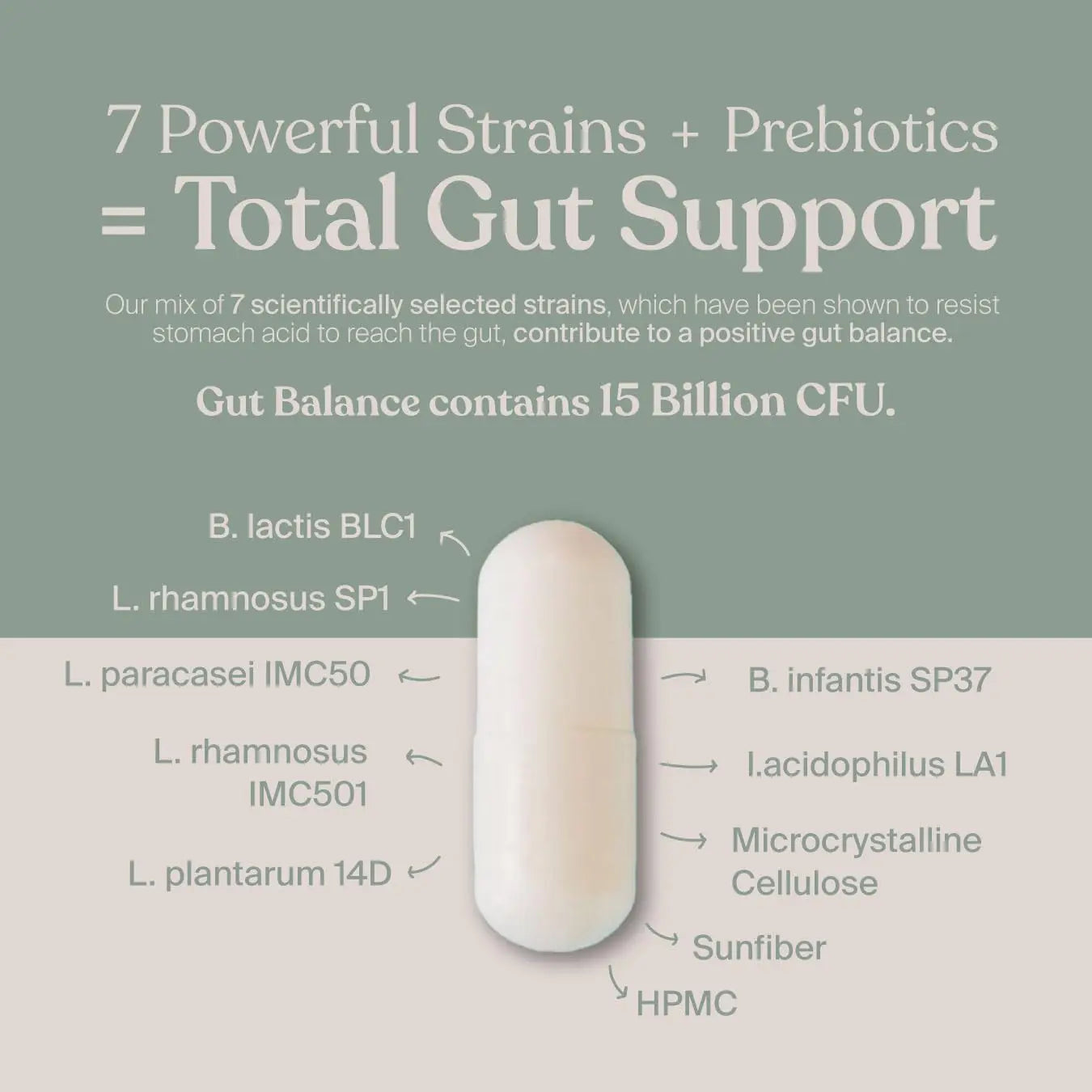 SAVVY Gut Balance Probiotics for Women & Men, 15 Billion CFU, 7 Clinically Studied Strains, Digestive Health, Immune Support, Bloating Relief, 60 Vegan Capsules, Non GMO, Sugar-Free SAVVY buy supplements Au
