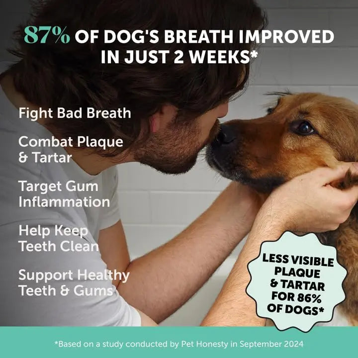Dog Breath Freshener Dental Powder for Teeth Cleaning Plaque Off, Dental Care for Dogs, Tartar Remover for Teeth with Natural Herbal Blend + Postbiotics (Mint - 30 Servings) Pet HonestyBuy Supplements Australia