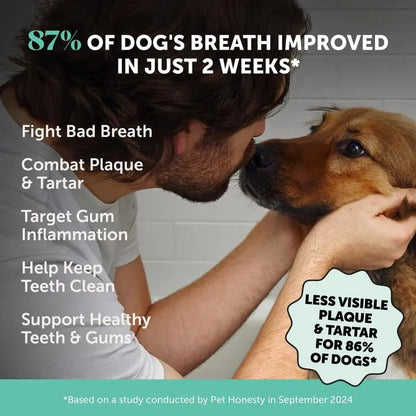 Dog Breath Freshener Dental Powder for Teeth Cleaning Plaque Off, Dental Care for Dogs, Tartar Remover for Teeth with Natural Herbal Blend + Postbiotics (Mint - 30 Servings) Pet HonestyBuy Supplements Australia