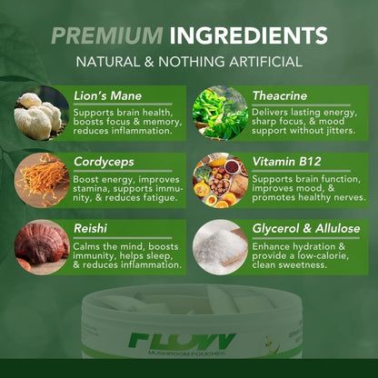 Flow Pouches Mushroom Nootropic Pouches - 600mg Organic Mushroom Energy Ultra Pouches with Lion's Mane, Reishi, Cordyceps for Focus & Clean Energy - Zero Caffeine or Sugar (5 Can Pack, Sour Apple) Flow Pouches buy supplements Au