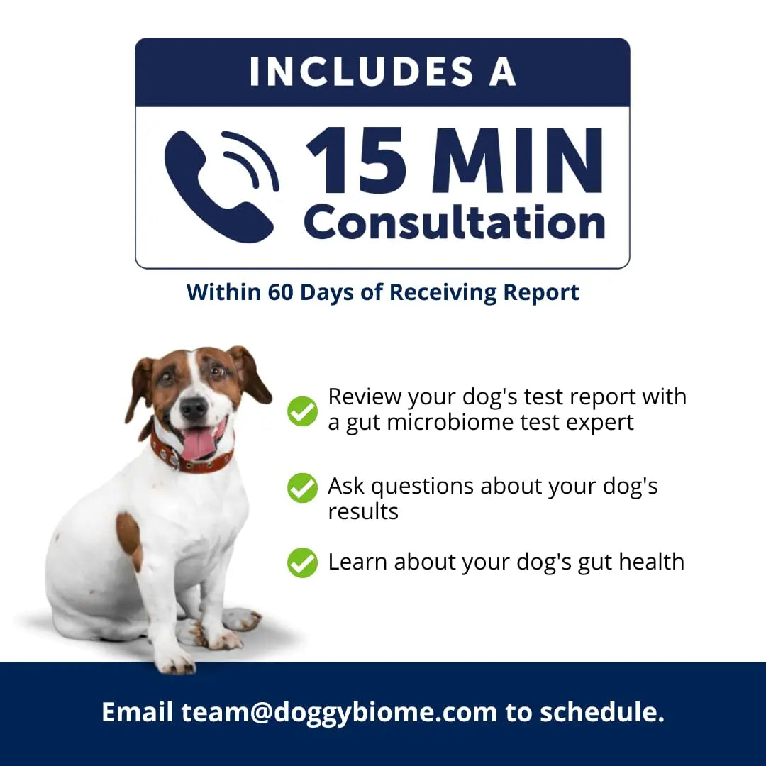 AnimalBiome Dog Gut Health Test – DoggyBiome At Home Stool Testing Kit, Canine Fecal Analysis for Digestive Issues, Diarrhea & Allergy Insights w/Personalized Report & Custom Plan (Dogs in US) AnimalBiomeBuy Supplements Australia