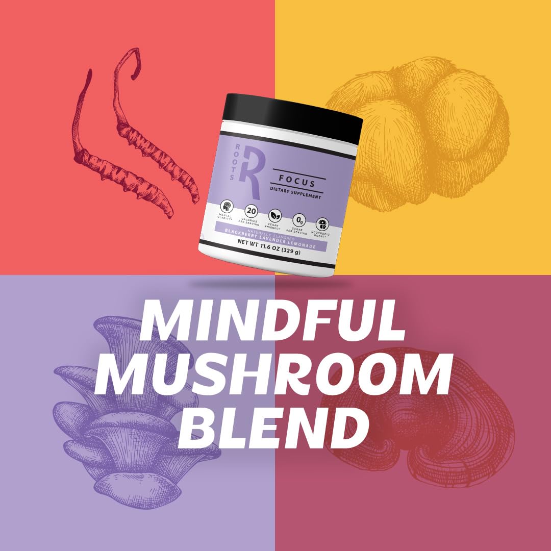 Roots Focus Brain Supplement - Nootropic Mushroom Supplement Powder for Memory, Focus, Energy - Lion's Mane, Cordyceps, Reishi Mushrooms with Caffeine - Blackberry Lemonade, 11.6oz Tub (50 Servings) Silver Star NutritionBuy Supplements Australia