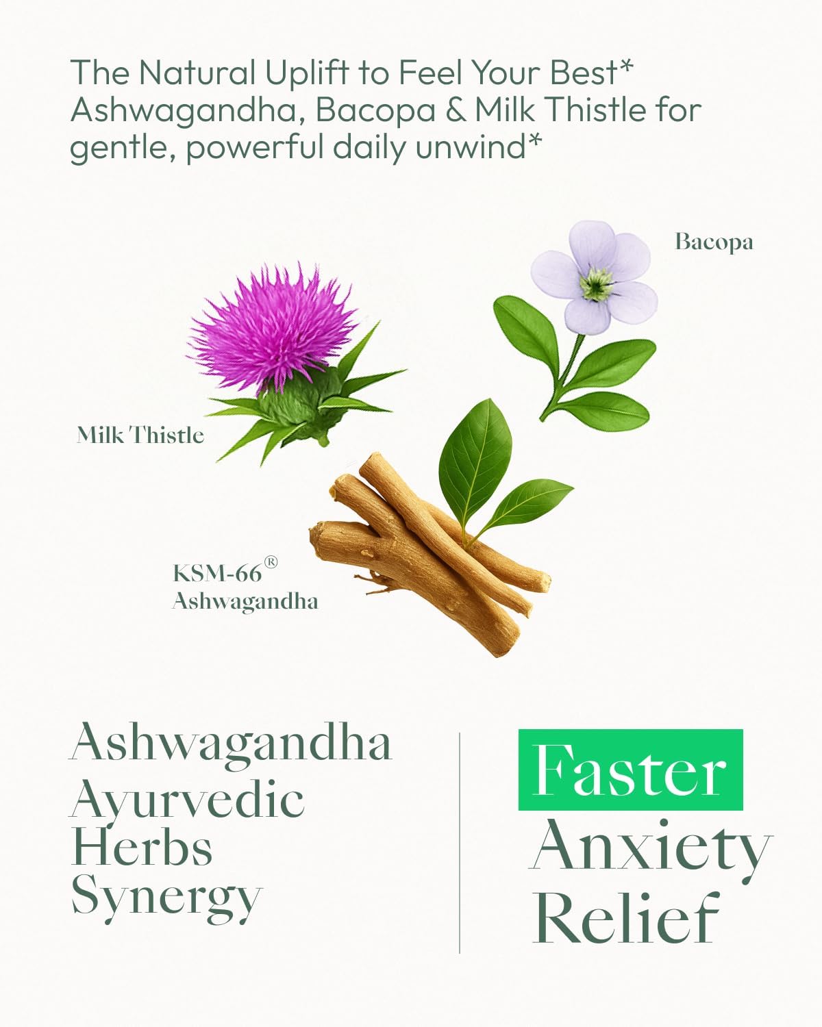 Upbe Ashwagandha Supplements for Women & Men - KSM-66® with Bacopa & Milk Thistle, 60 Vegan Capsules - Stress Relief, Mood, Cortisol Support, Extra Strength Ashwagandha Capsules UpbeBuy Supplements Australia