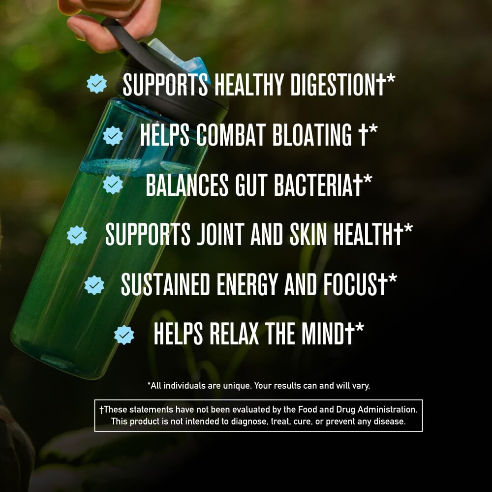 ROUNDHOUSE PROVISION Morning Kick, Greens Superfood Powder Supplement with Ashwagandha, Collagen & Probiotics - Sugar Free, Caffeine Free (3 Pack, Strawberry Lemonade Flavor) by Chuck Norris ROUNDHOUSE PROVISIONBuy Supplements Australia