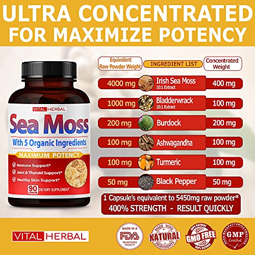 VITAL HERBAL Irish Sea Moss Capsules Equivalent to 5450mg - Maximum Potency VITAL HERBALBuy Supplements Australia