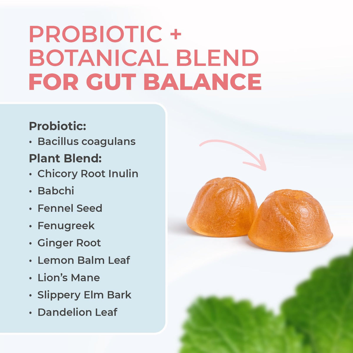 Nature’s NutriWave PrimeBiome Probiotic Gummies – Plant-Based Blend with Inulin, Lion’s Mane, Ginger & More– Non-GMO, No Stimulants, GMP Certified